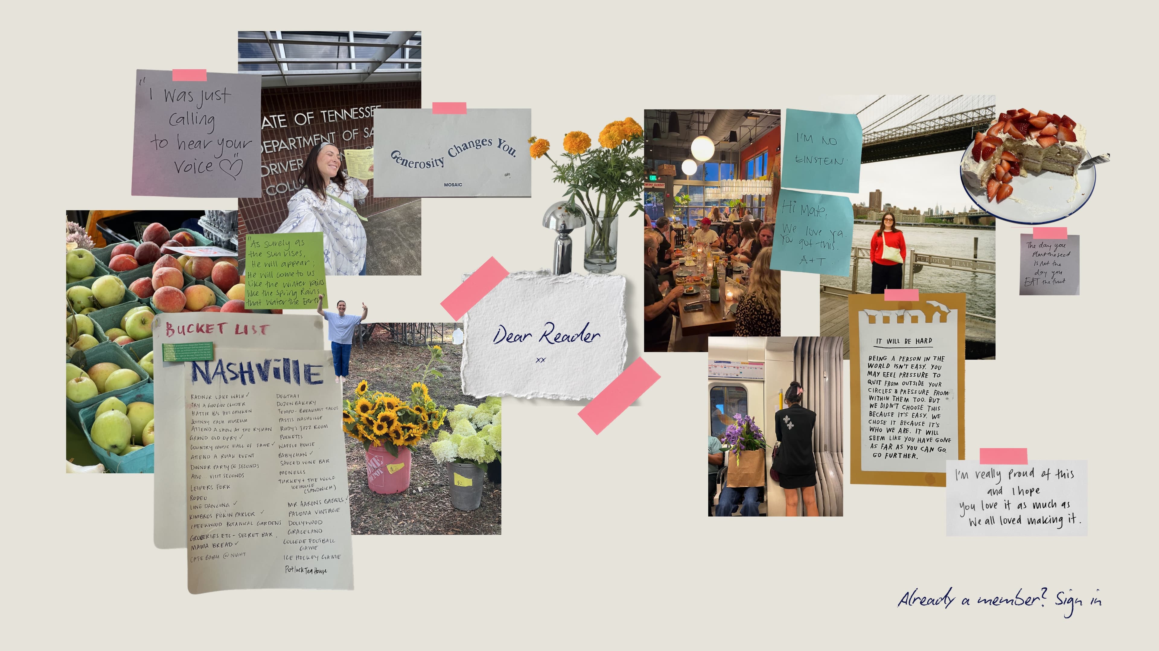 Dear Reader — Georgia's wall