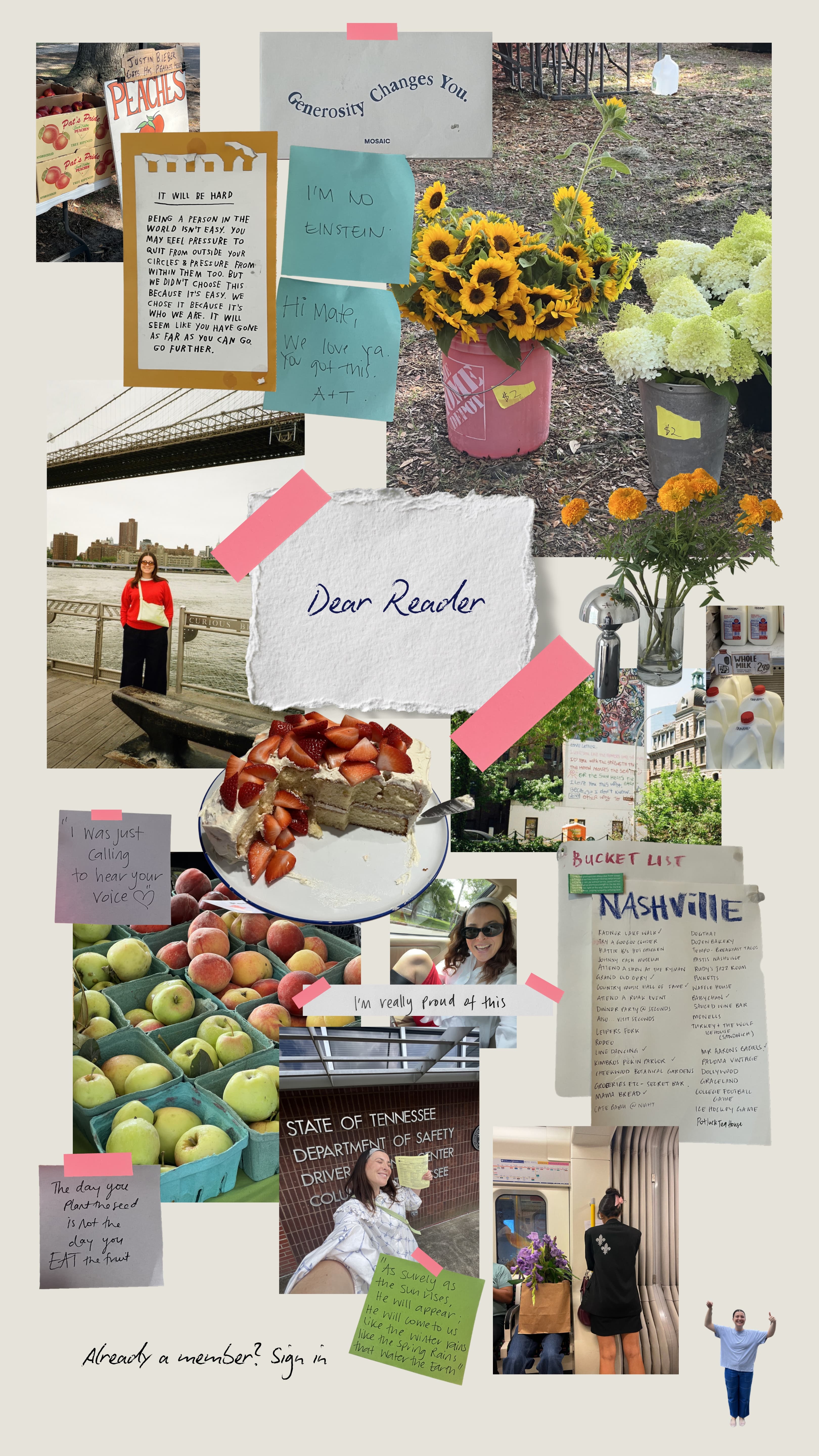 Dear Reader — Georgia's wall